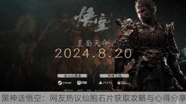 黑神话悟空：网友热议仙胞石片获取攻略与心得分享