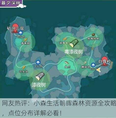 网友热评：小森生活朝晖森林资源全攻略，点位分布详解必看！