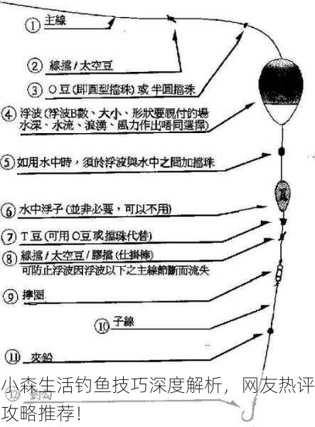 小森生活钓鱼技巧深度解析，网友热评攻略推荐！