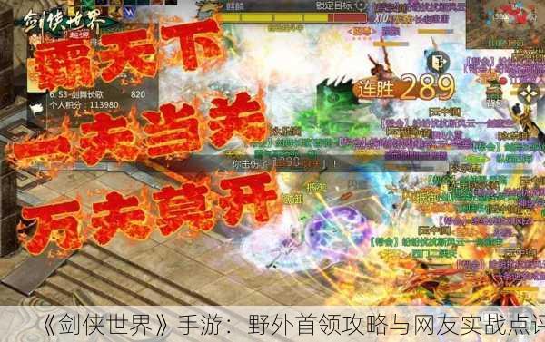 《剑侠世界》手游：野外首领攻略与网友实战点评