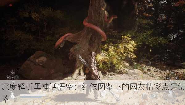 深度解析黑神话悟空：红依图鉴下的网友精彩点评集萃