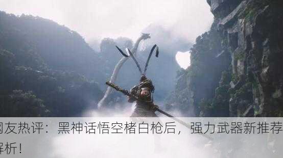 网友热评：黑神话悟空楮白枪后，强力武器新推荐解析！
