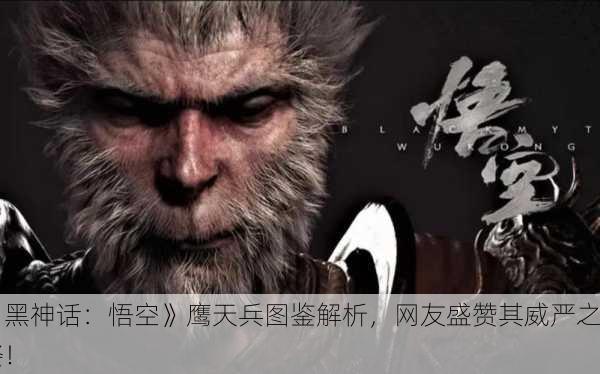 《黑神话：悟空》鹰天兵图鉴解析，网友盛赞其威严之姿！