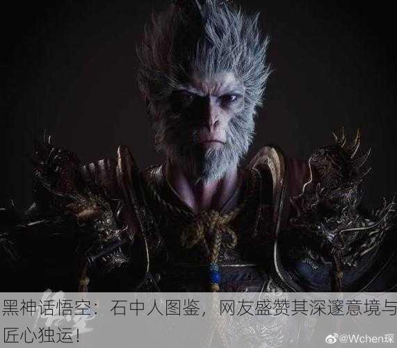 黑神话悟空：石中人图鉴，网友盛赞其深邃意境与匠心独运！