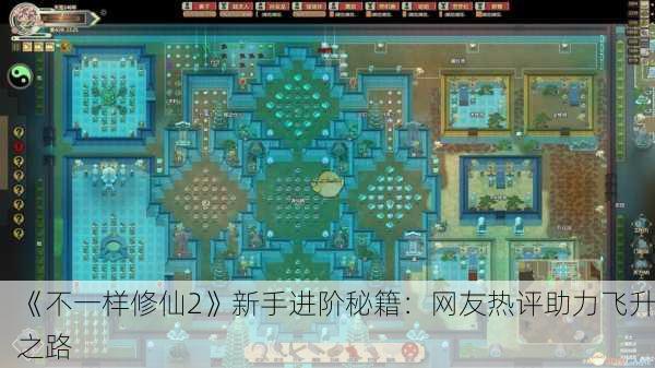 《不一样修仙2》新手进阶秘籍：网友热评助力飞升之路