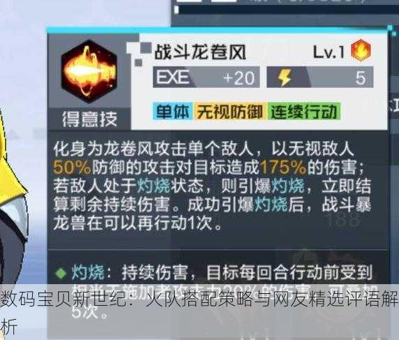 数码宝贝新世纪：火队搭配策略与网友精选评语解析