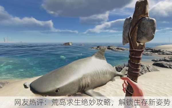 网友热评：荒岛求生绝妙攻略，解锁生存新姿势！