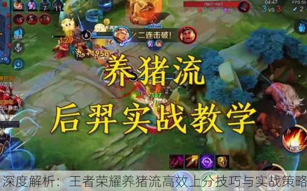 深度解析：王者荣耀养猪流高效上分技巧与实战策略