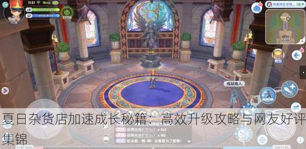 夏日杂货店加速成长秘籍：高效升级攻略与网友好评集锦