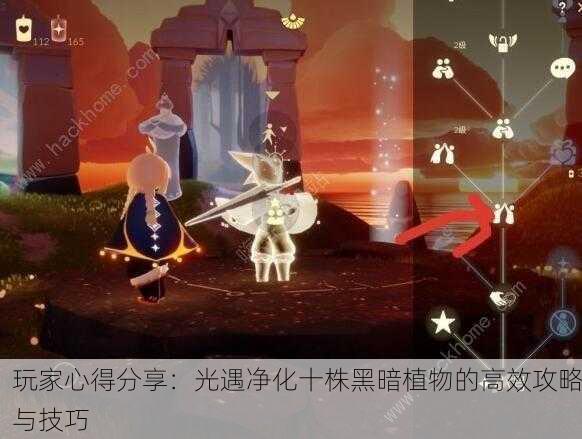 玩家心得分享：光遇净化十株黑暗植物的高效攻略与技巧