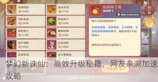 梦幻新诛仙：高效升级秘籍，网友亲测加速攻略
