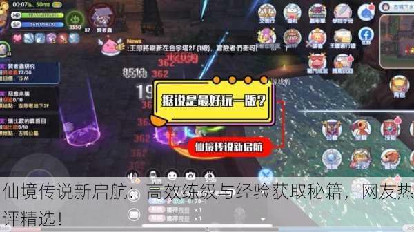 仙境传说新启航：高效练级与经验获取秘籍，网友热评精选！