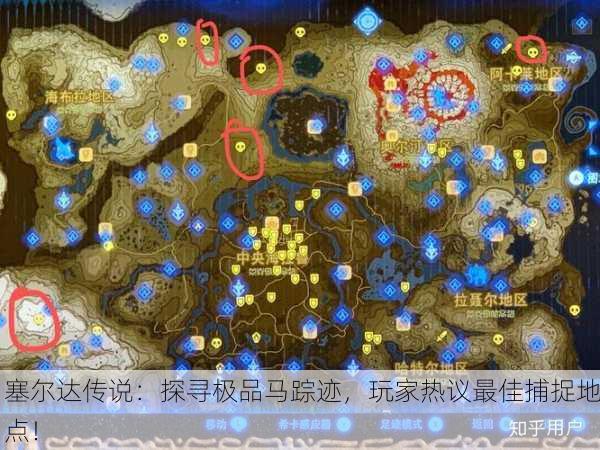 塞尔达传说：探寻极品马踪迹，玩家热议最佳捕捉地点！