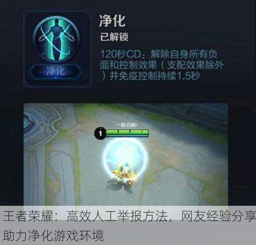王者荣耀：高效人工举报方法，网友经验分享助力净化游戏环境