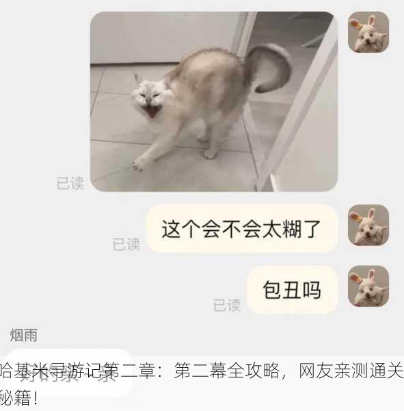 哈基米寻游记第二章：第二幕全攻略，网友亲测通关秘籍！