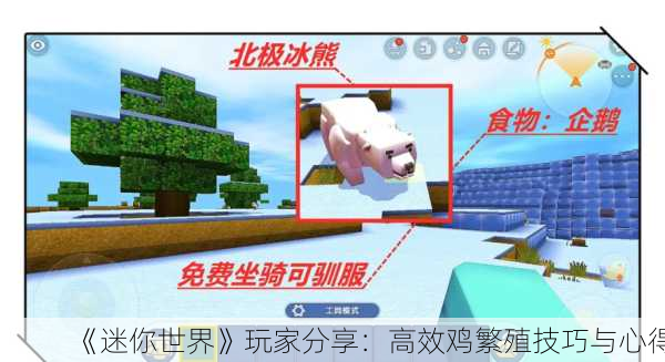 《迷你世界》玩家分享：高效鸡繁殖技巧与心得