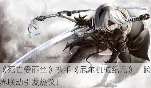 《死亡爱丽丝》携手《尼尔机械纪元》：跨界联动引发热议！