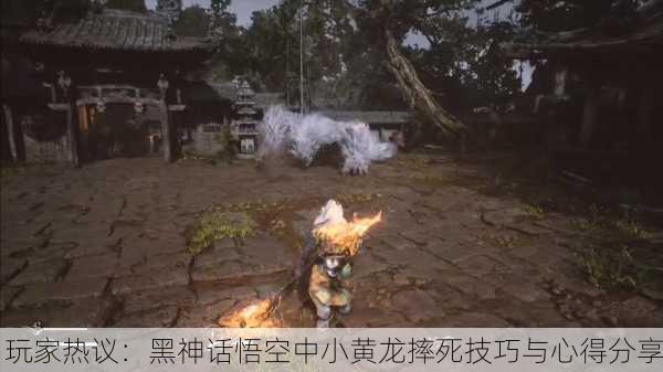 玩家热议：黑神话悟空中小黄龙摔死技巧与心得分享