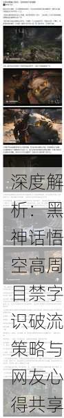 深度解析：黑神话悟空高周目禁字识破流策略与网友心得共享