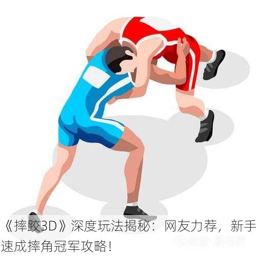 《摔跤3D》深度玩法揭秘：网友力荐，新手速成摔角冠军攻略！