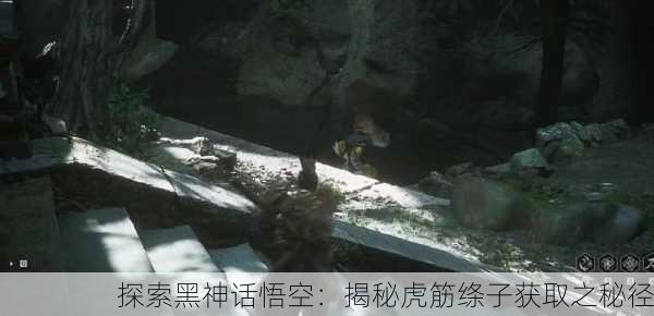 探索黑神话悟空：揭秘虎筋绦子获取之秘径