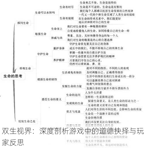 双生视界：深度剖析游戏中的道德抉择与玩家反思