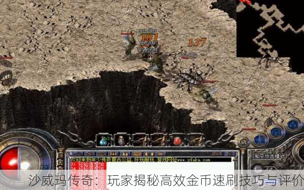 沙威玛传奇：玩家揭秘高效金币速刷技巧与评价