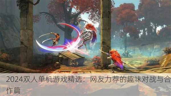 2024双人单机游戏精选：网友力荐的趣味对战与合作篇