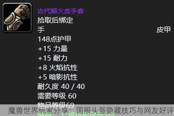 魔兽世界玩家分享：国服头盔隐藏技巧与网友好评