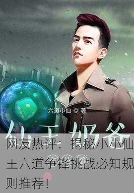 网友热评：揭秘小小仙王六道争锋挑战必知规则推荐！