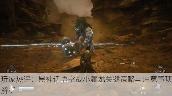 玩家热评：黑神话悟空战小骊龙关键策略与注意事项解析