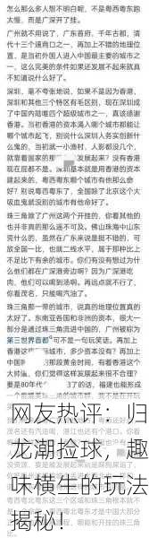 网友热评：归龙潮捡球，趣味横生的玩法揭秘！