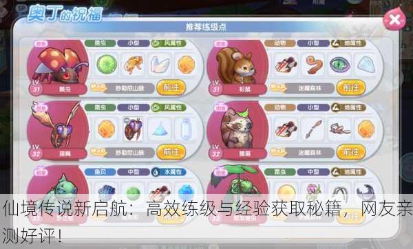 仙境传说新启航：高效练级与经验获取秘籍，网友亲测好评！