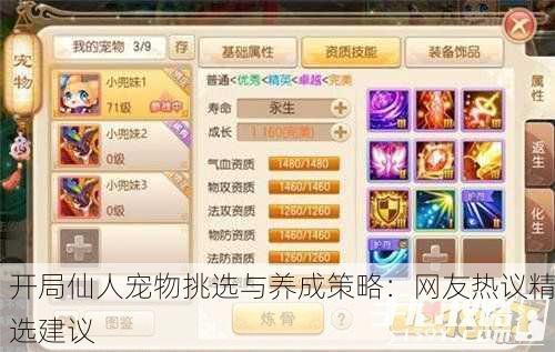 开局仙人宠物挑选与养成策略：网友热议精选建议