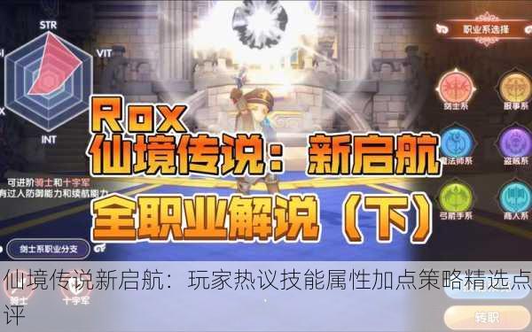 仙境传说新启航：玩家热议技能属性加点策略精选点评