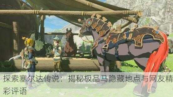 探索塞尔达传说：揭秘极品马隐藏地点与网友精彩评语