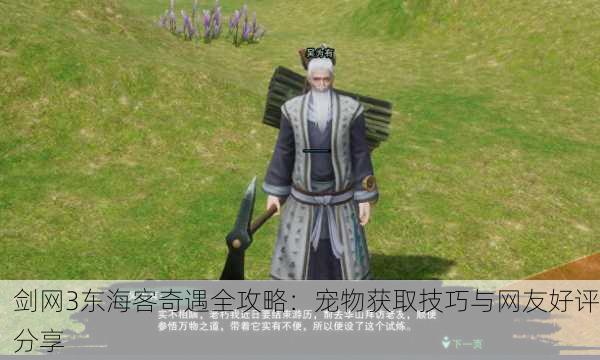 剑网3东海客奇遇全攻略：宠物获取技巧与网友好评分享