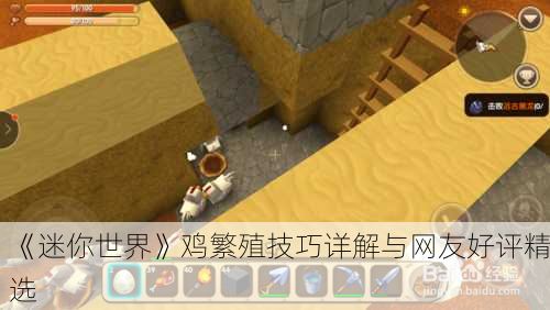 《迷你世界》鸡繁殖技巧详解与网友好评精选