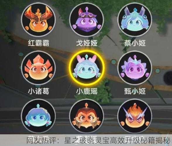 网友热评：星之破晓灵宝高效升级秘籍揭秘！