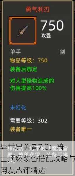异世界勇者7.0：骑士顶级装备搭配攻略与网友热评精选