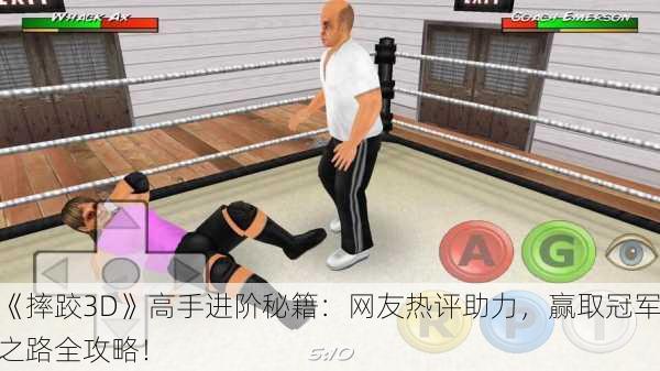 《摔跤3D》高手进阶秘籍：网友热评助力，赢取冠军之路全攻略！