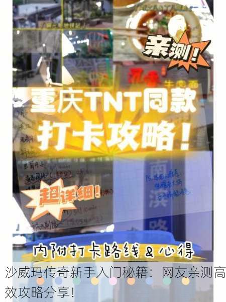 沙威玛传奇新手入门秘籍：网友亲测高效攻略分享！