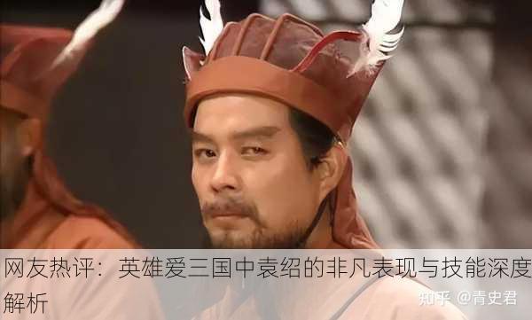 网友热评：英雄爱三国中袁绍的非凡表现与技能深度解析