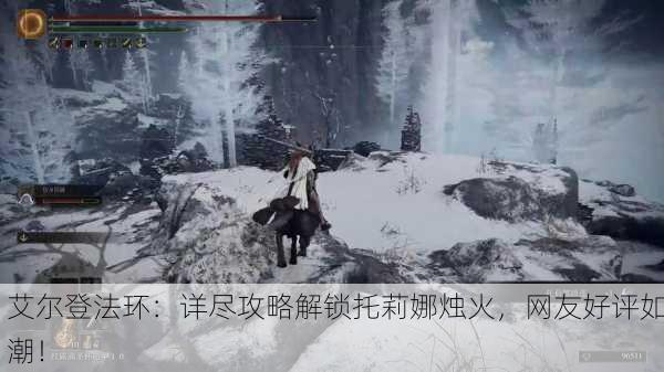 艾尔登法环：详尽攻略解锁托莉娜烛火，网友好评如潮！