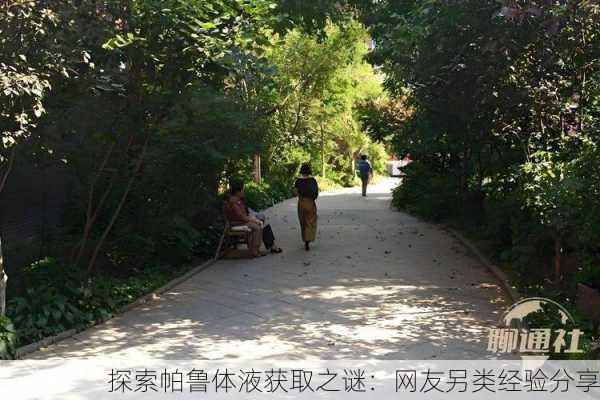 探索帕鲁体液获取之谜：网友另类经验分享