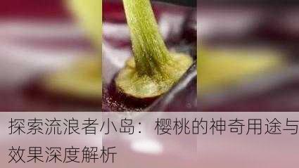 探索流浪者小岛：樱桃的神奇用途与效果深度解析