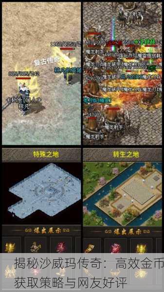 揭秘沙威玛传奇：高效金币获取策略与网友好评