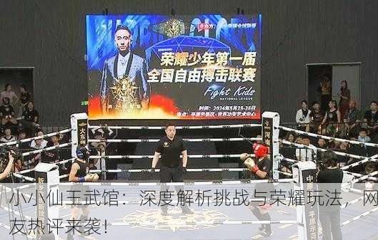 小小仙王武馆：深度解析挑战与荣耀玩法，网友热评来袭！