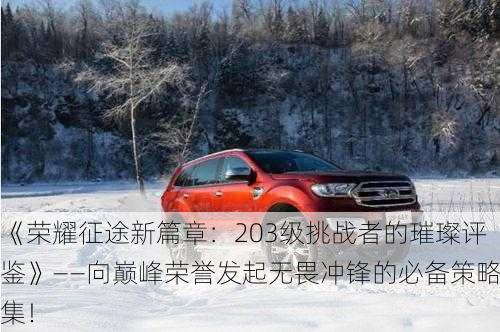 《荣耀征途新篇章：203级挑战者的璀璨评鉴》——向巅峰荣誉发起无畏冲锋的必备策略集！