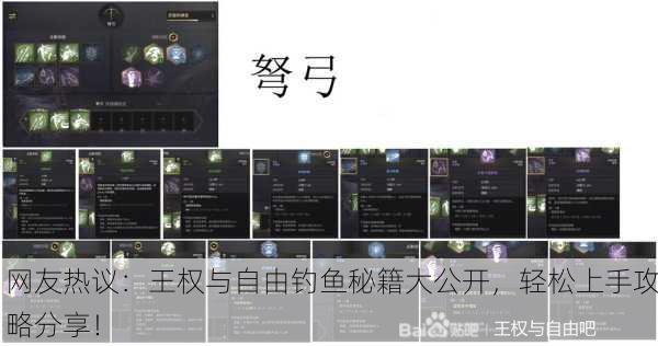 网友热议：王权与自由钓鱼秘籍大公开，轻松上手攻略分享！
